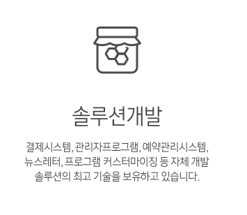 솔루션개발